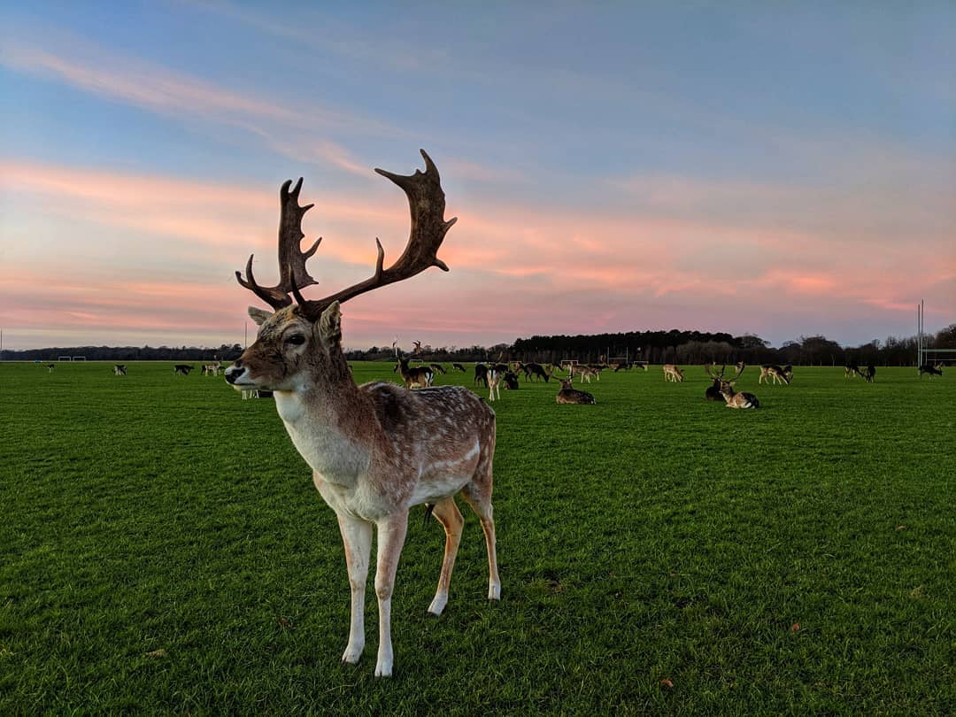 #teampixel #pixel2